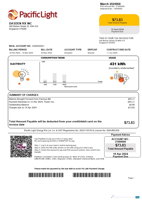 Singapore Pacific Light electricity business utility bill template in Word and PDF formats